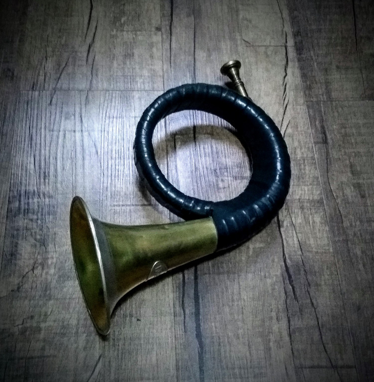 Fürst-Pless-Horn - Flatschart Horns